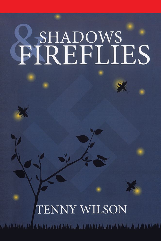 Shadows and Fireflies