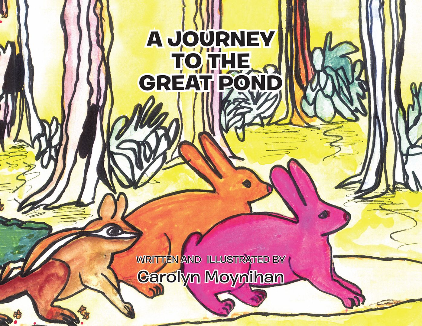 A Journey to the Great Pond