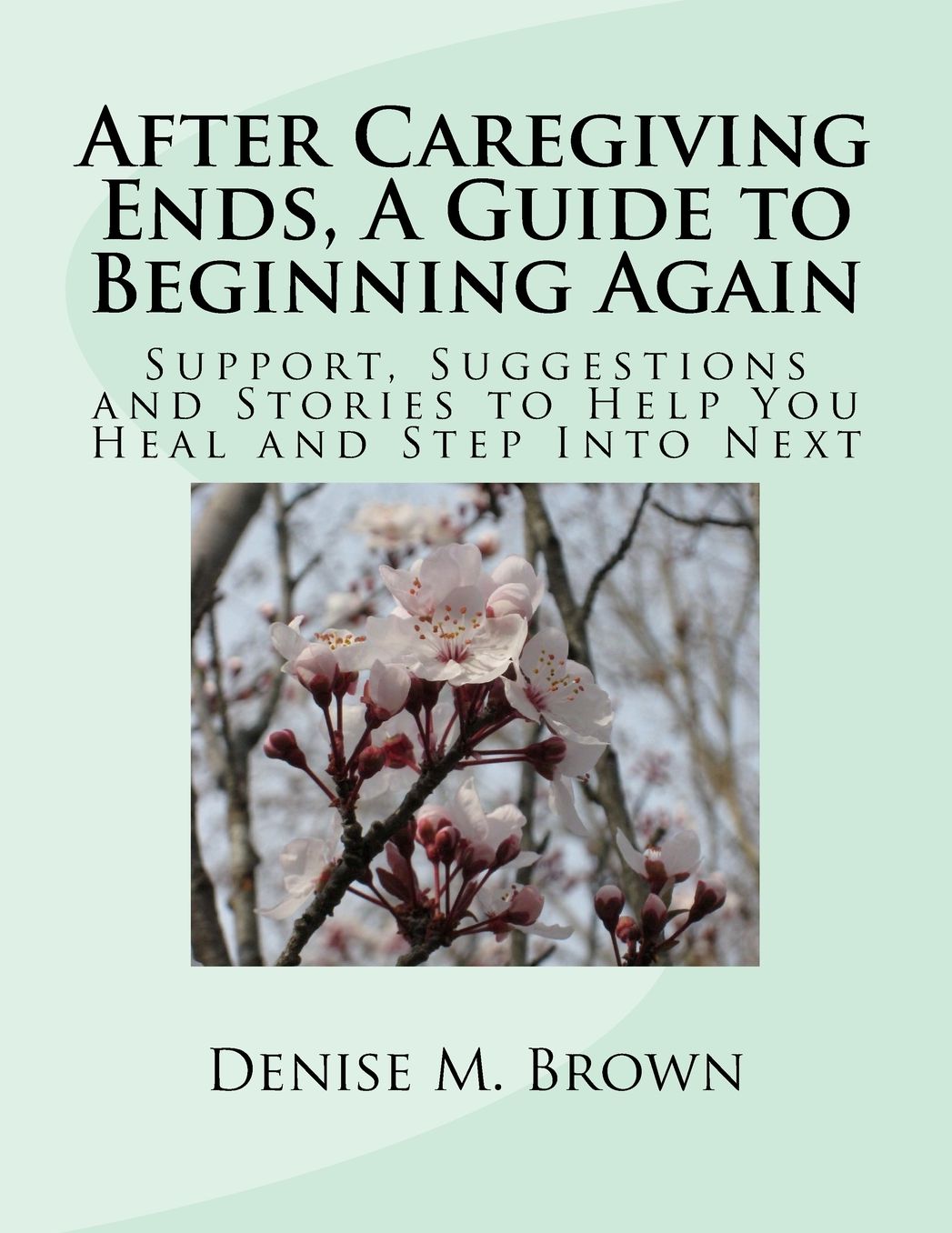 After Caregiving Ends, a Guide to Beginning Again: Support, Suggestions and Stories to Help You Heal and Step Into Next