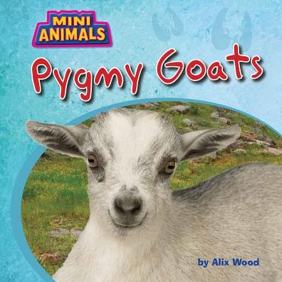 Pygmy Goats