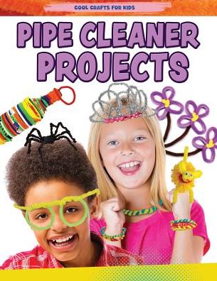 Pipe Cleaner Projects