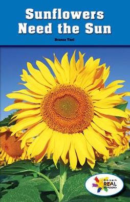 Sunflowers Need the Sun