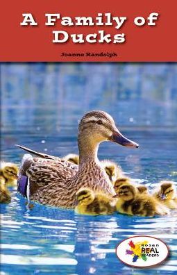 A Family of Ducks