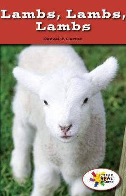 Lambs, Lambs, Lambs