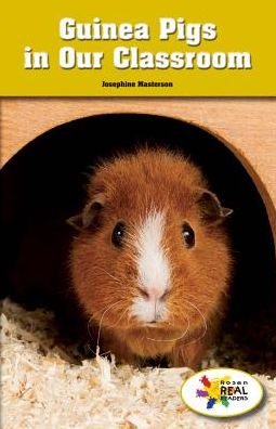 Guinea Pigs in Our Classroom