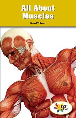All about Muscles