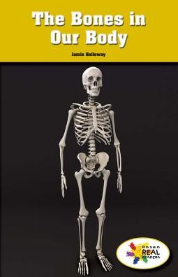 The Bones in Our Body