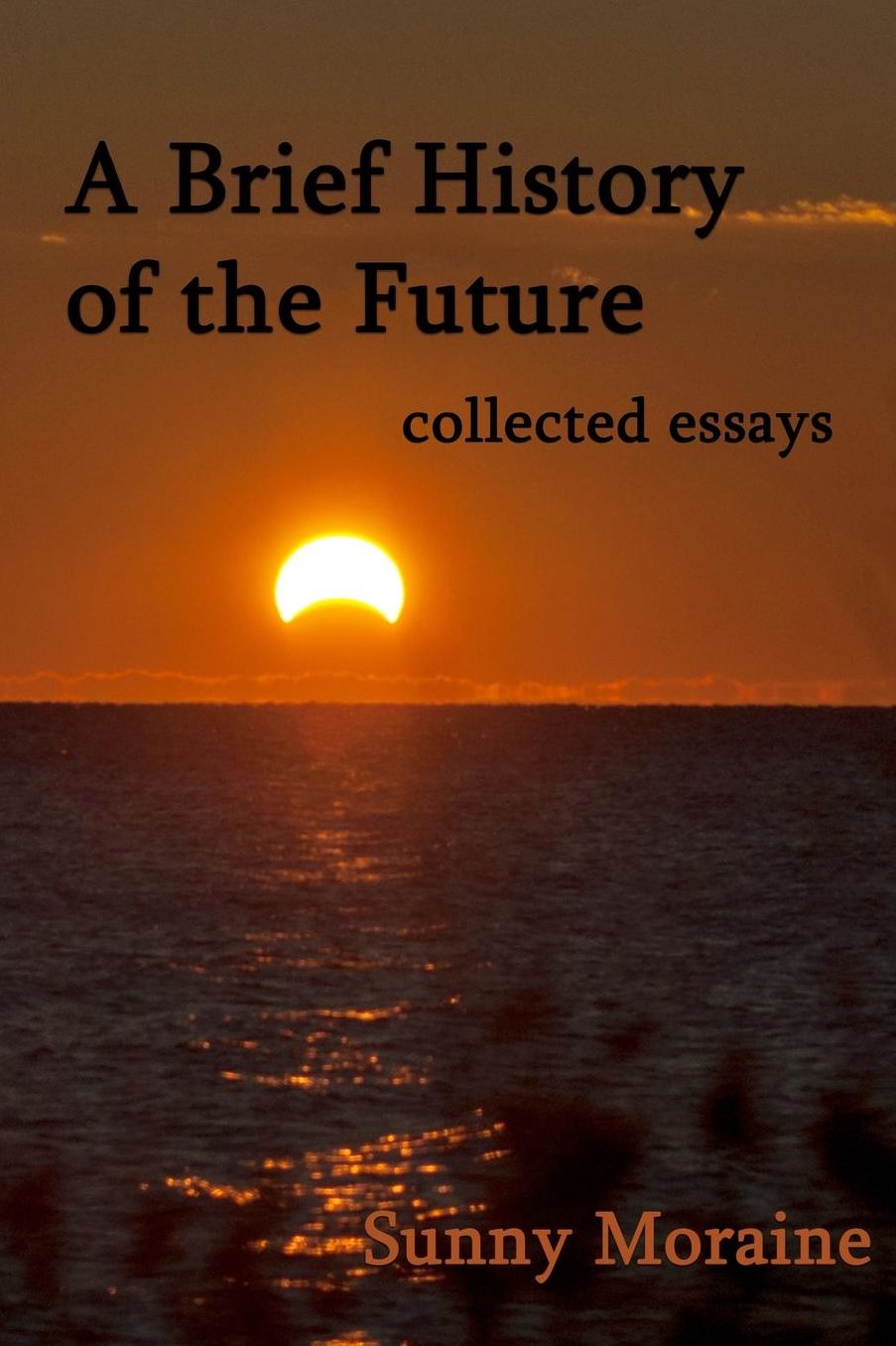 A Brief History of the Future: collected essays