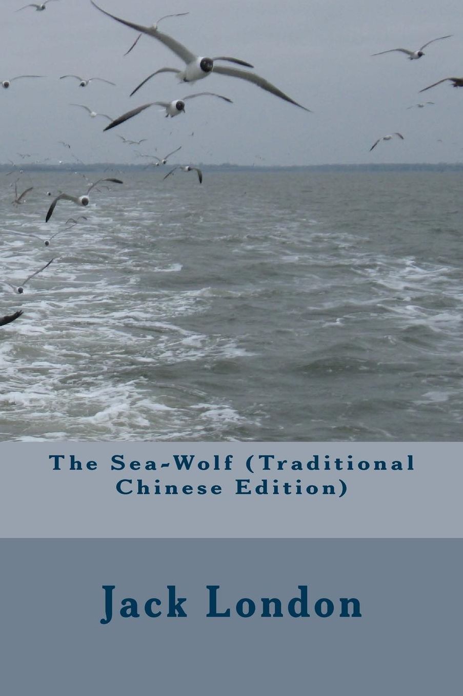 The Sea-Wolf (Traditional Chinese Edition)