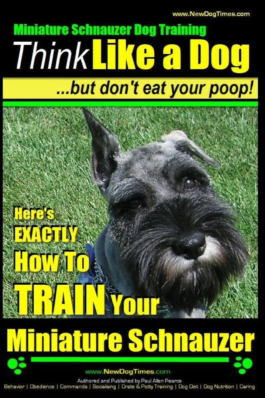 Miniature Schnauzer Dog Training Think Like a Dog But Don't Eat Your Poop! : Here's EXACTLY How To Train Your Miniature Schnauzer