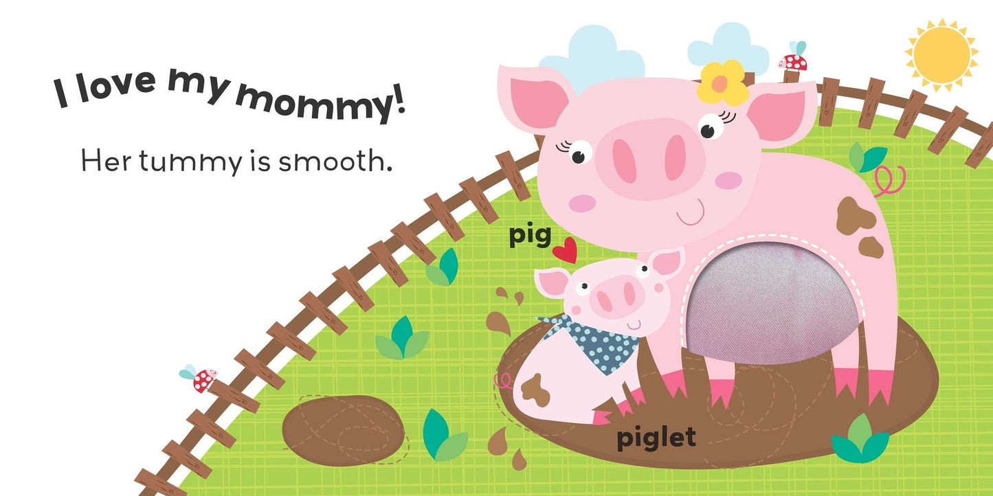 On the Farm: A Touch and Feel Book