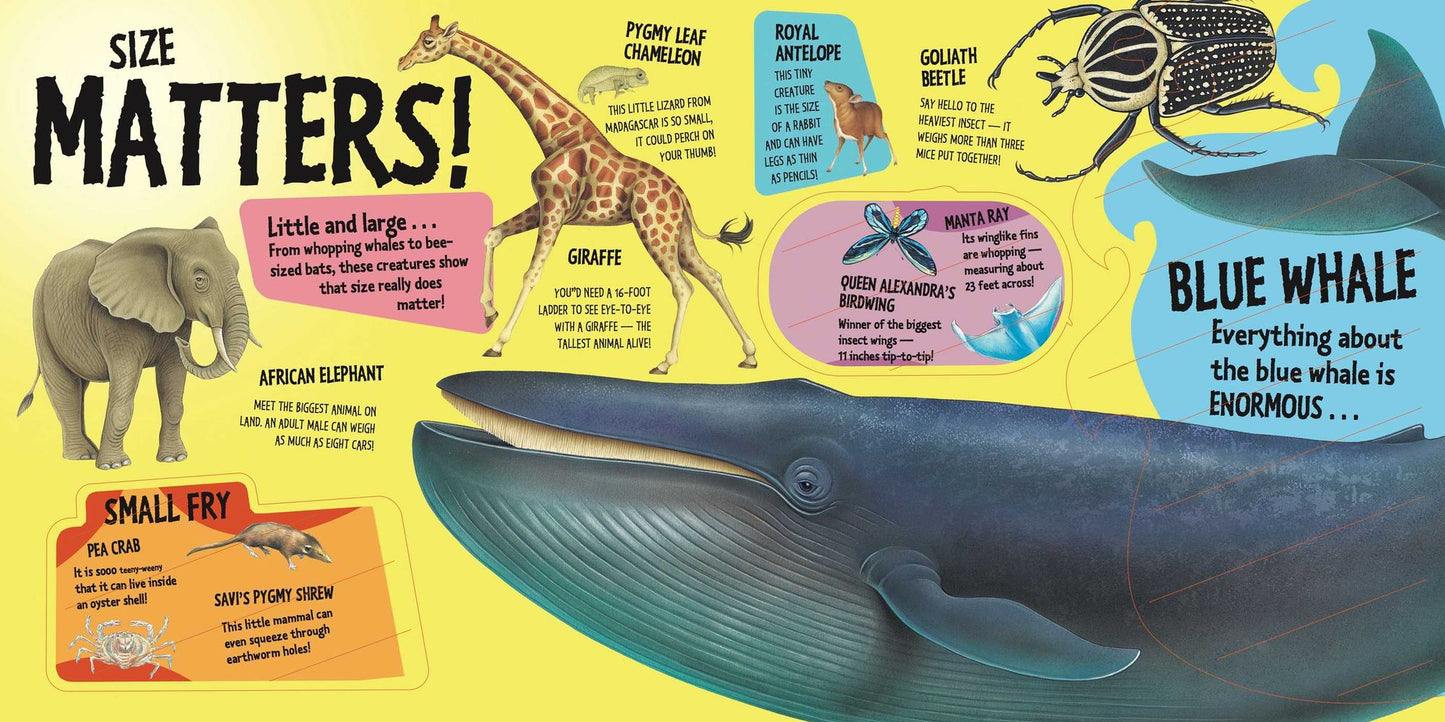 Record Breakers: Astonishing Animals