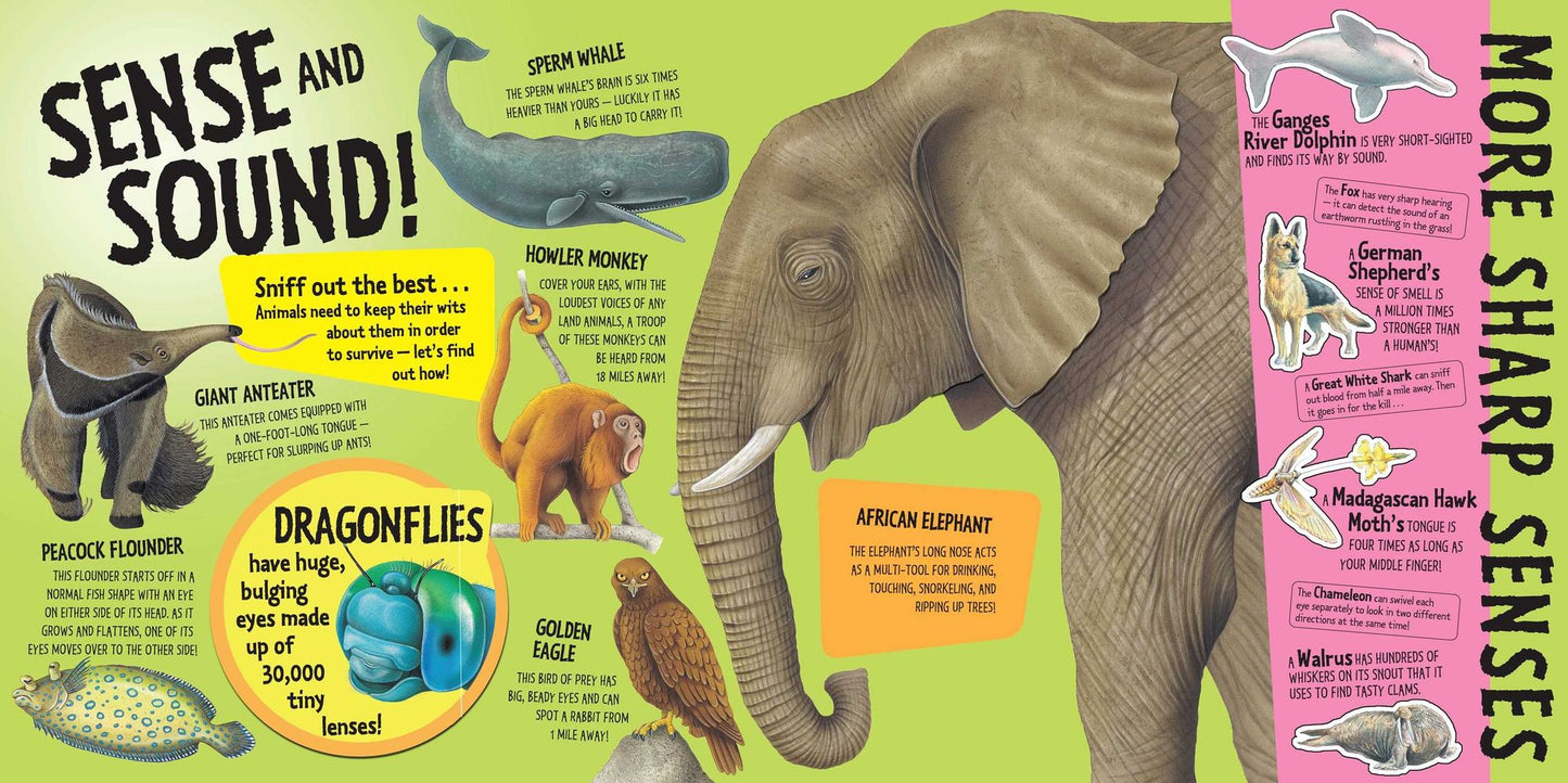 Record Breakers: Astonishing Animals
