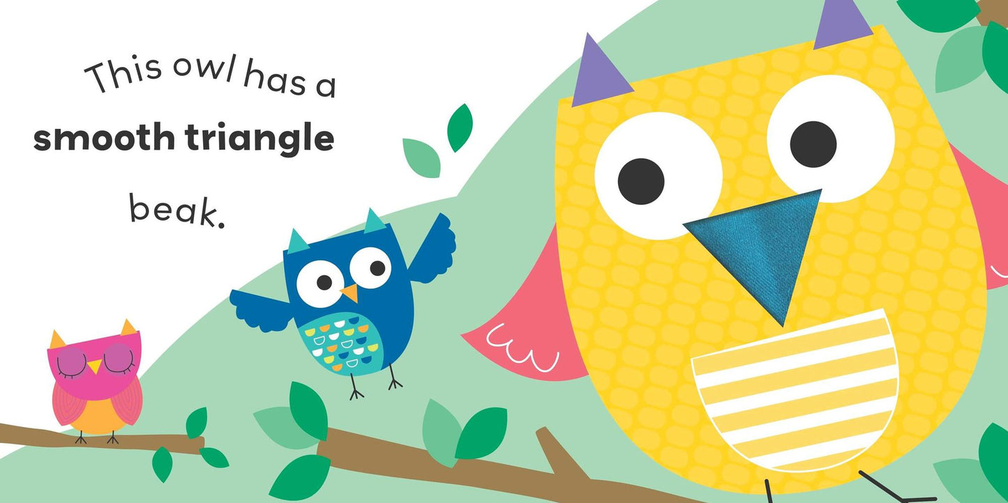 Animal Shapes: A Touch-and-Feel Book