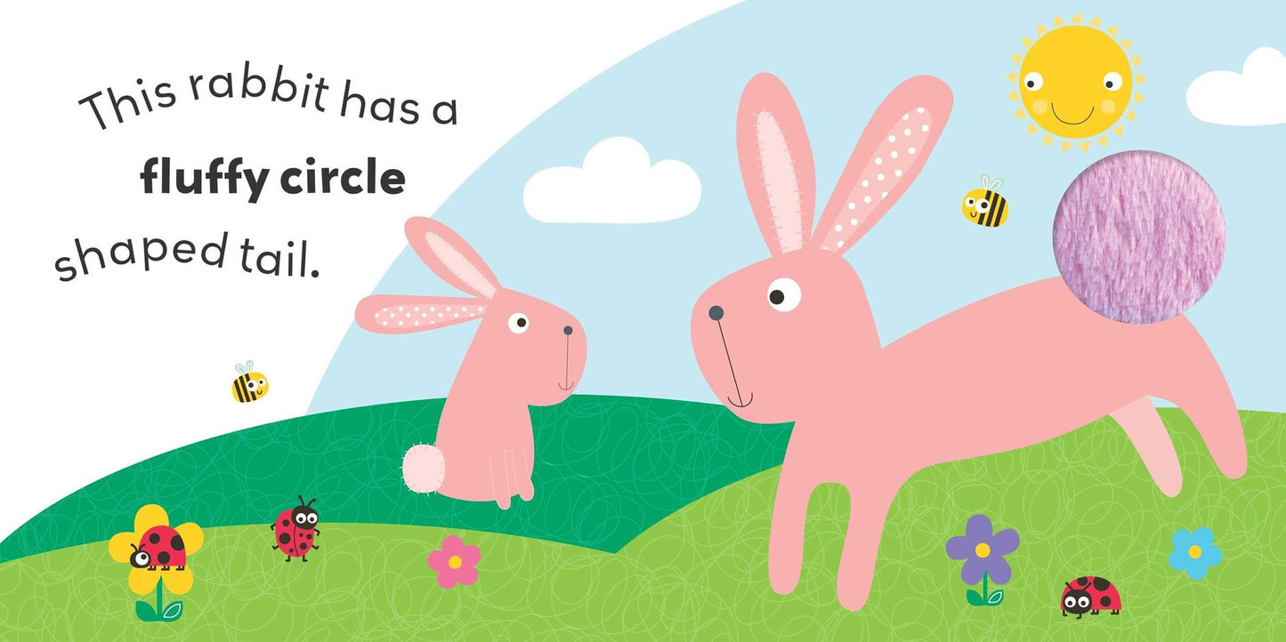 Animal Shapes: A Touch-and-Feel Book