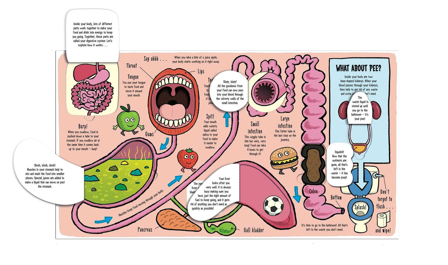 Little Explorers: My Amazing Body
