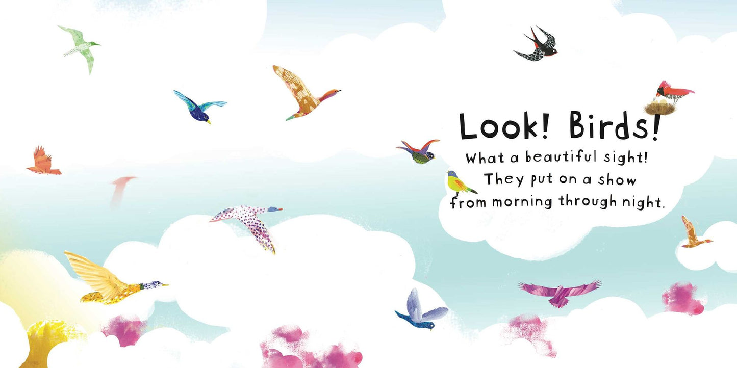 Look! Birds!