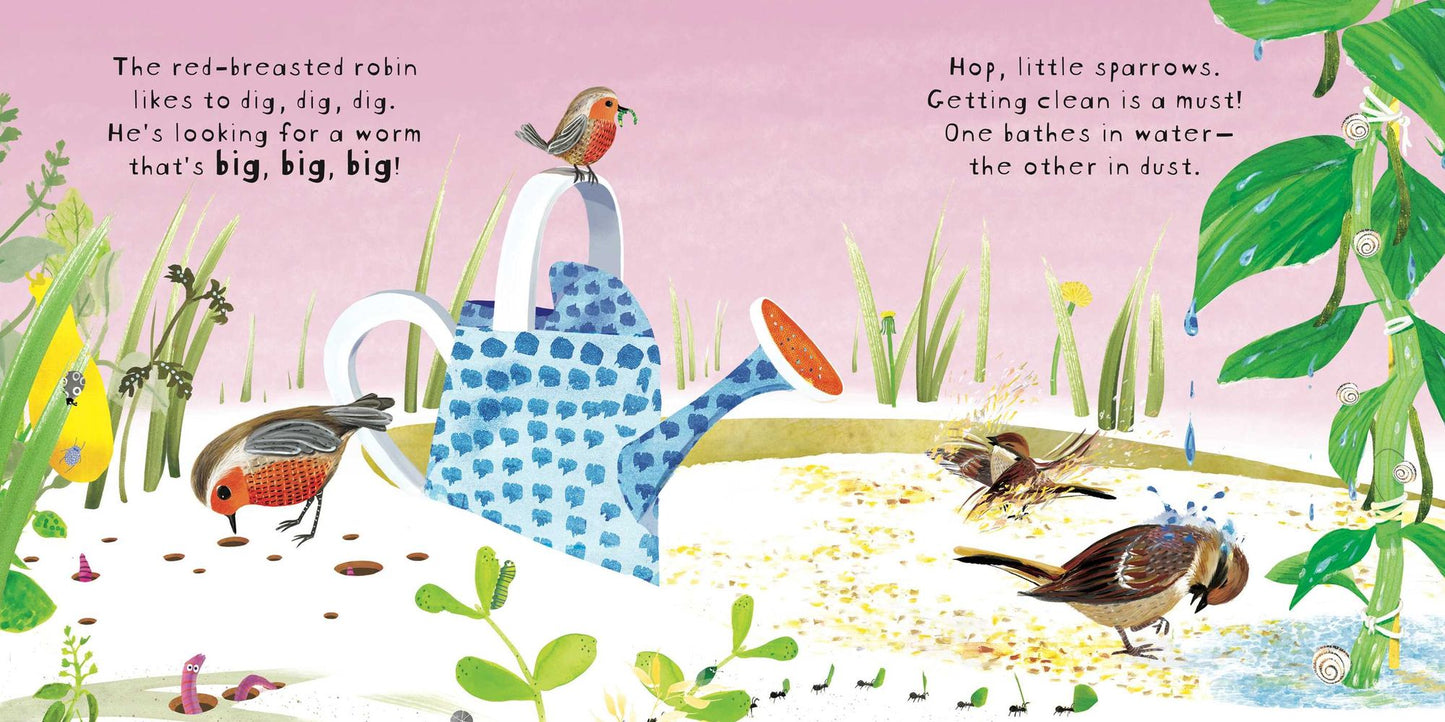 Look! Birds!