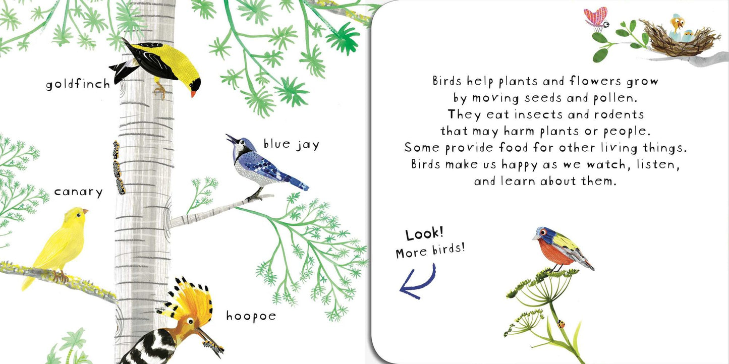 Look! Birds!