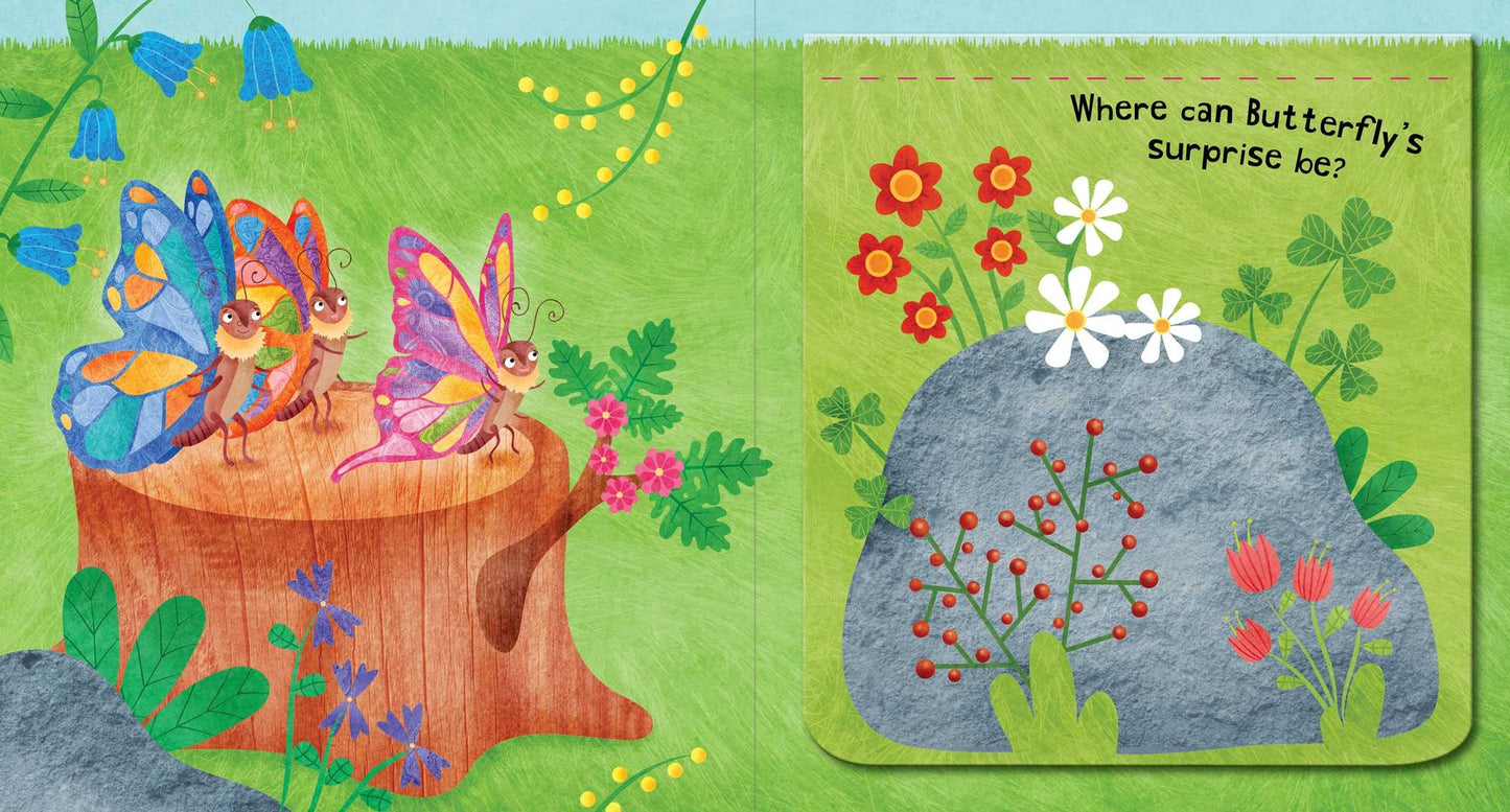 Butterfly's Surprise: A Lift-the-Flap Book