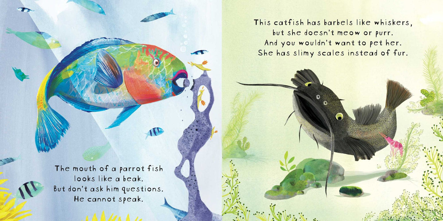 Look! Fish!