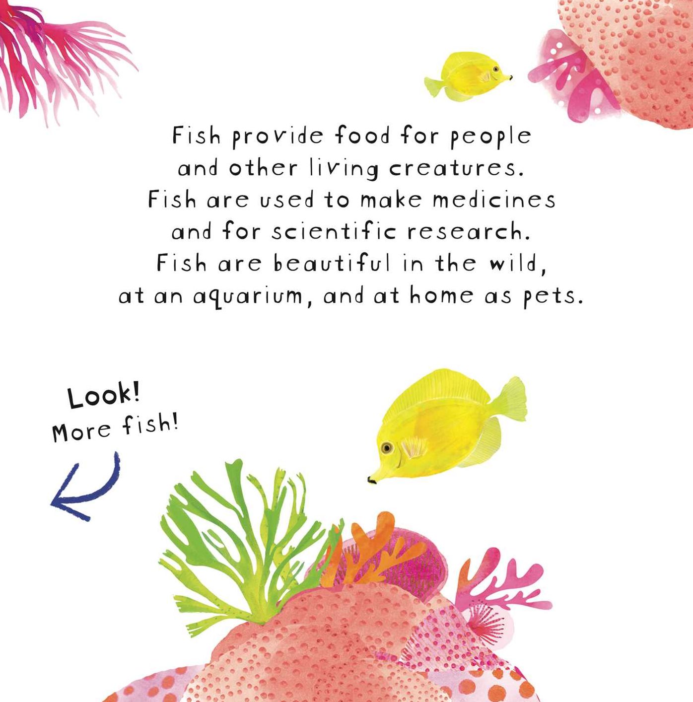 Look! Fish!