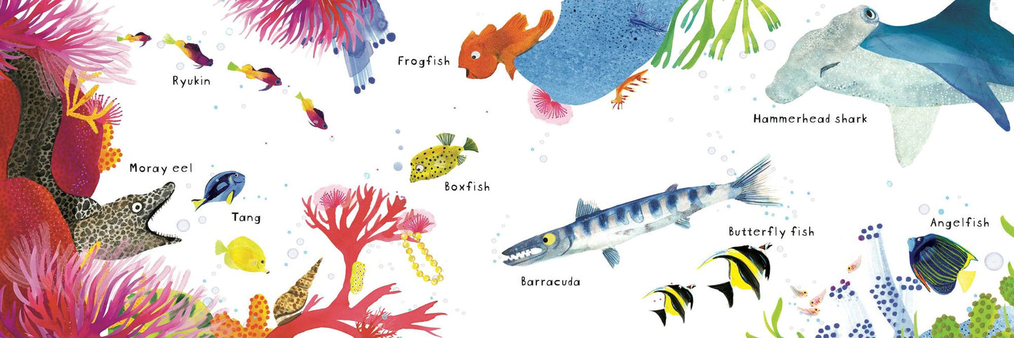 Look! Fish!