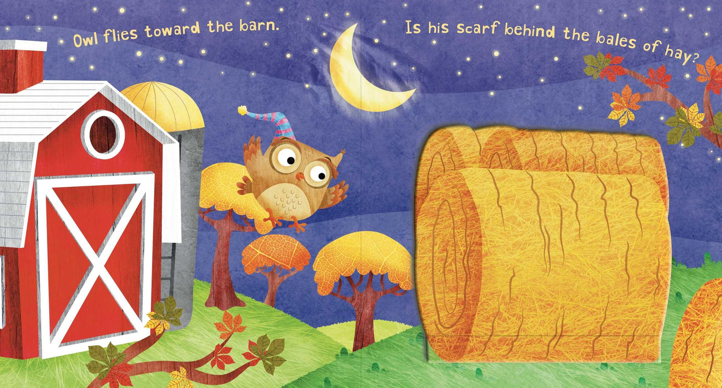 Where Is Owl's Scarf?: A Lift-the-Flap Book