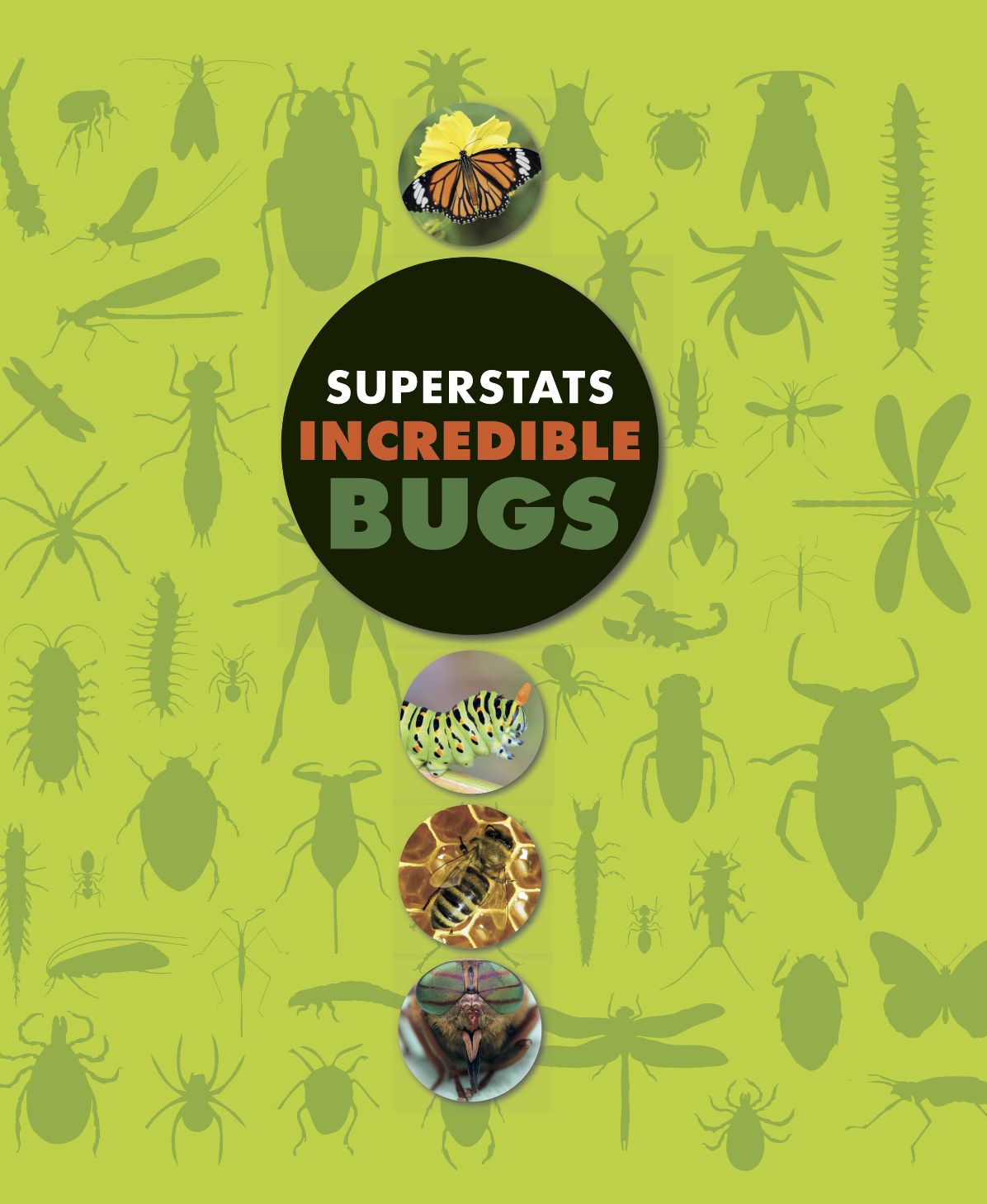 Superstats: Incredible Bugs