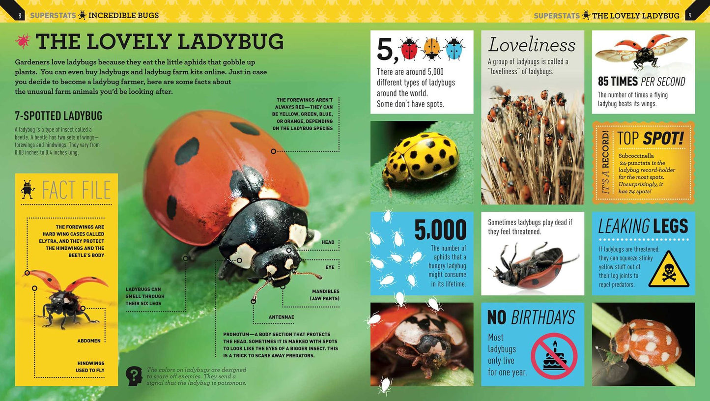 Superstats: Incredible Bugs
