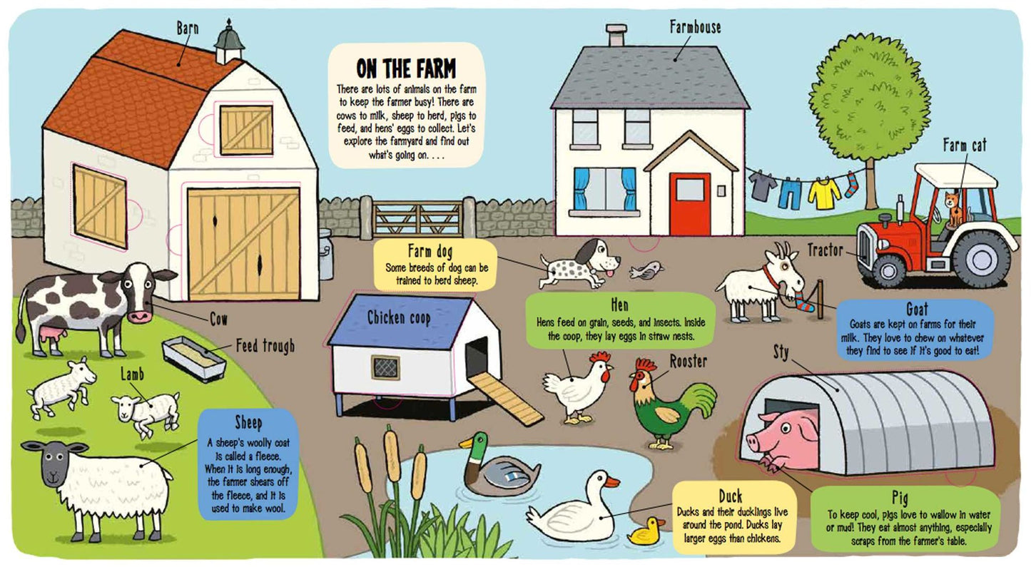 Little Explorers: The Animal World