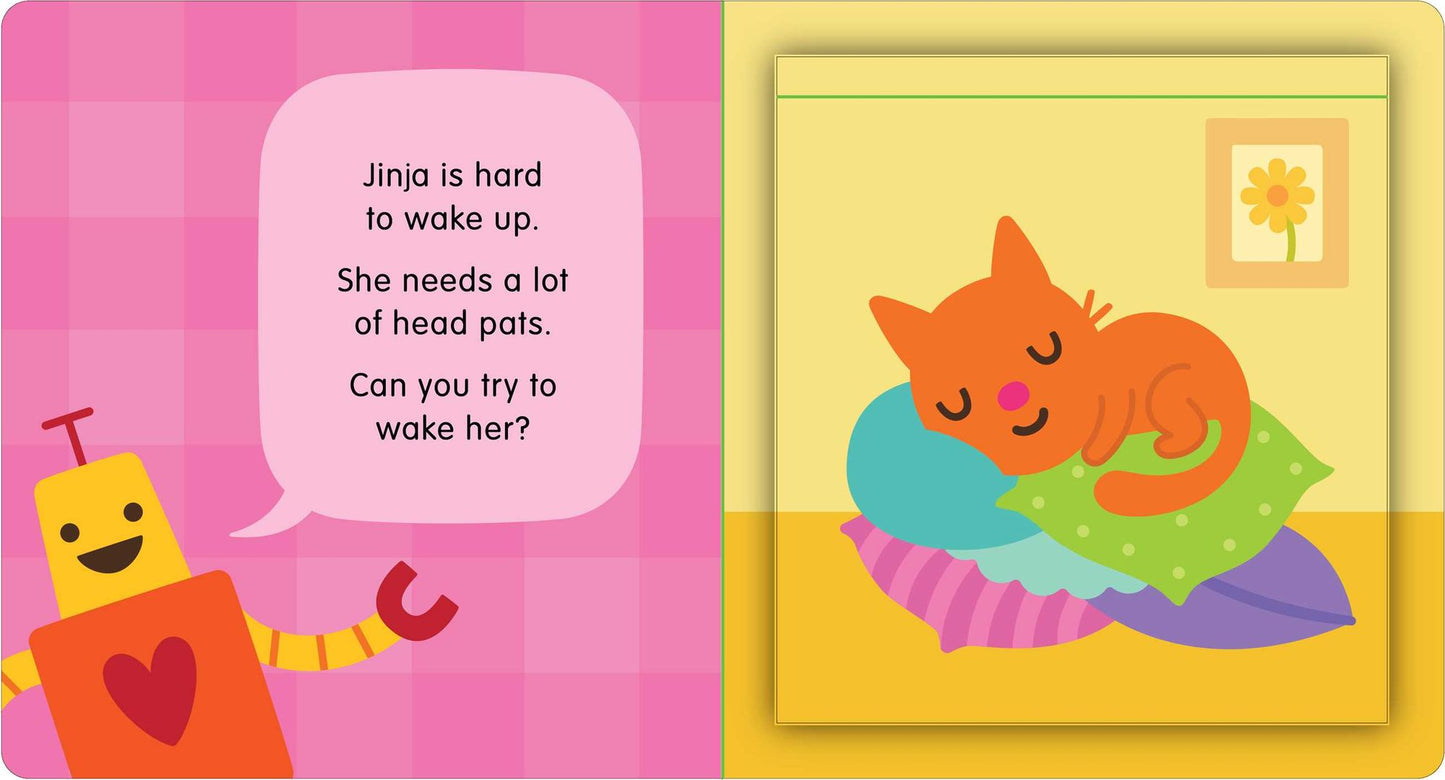 Wake and Sleep: A Lift-the-Flap Book