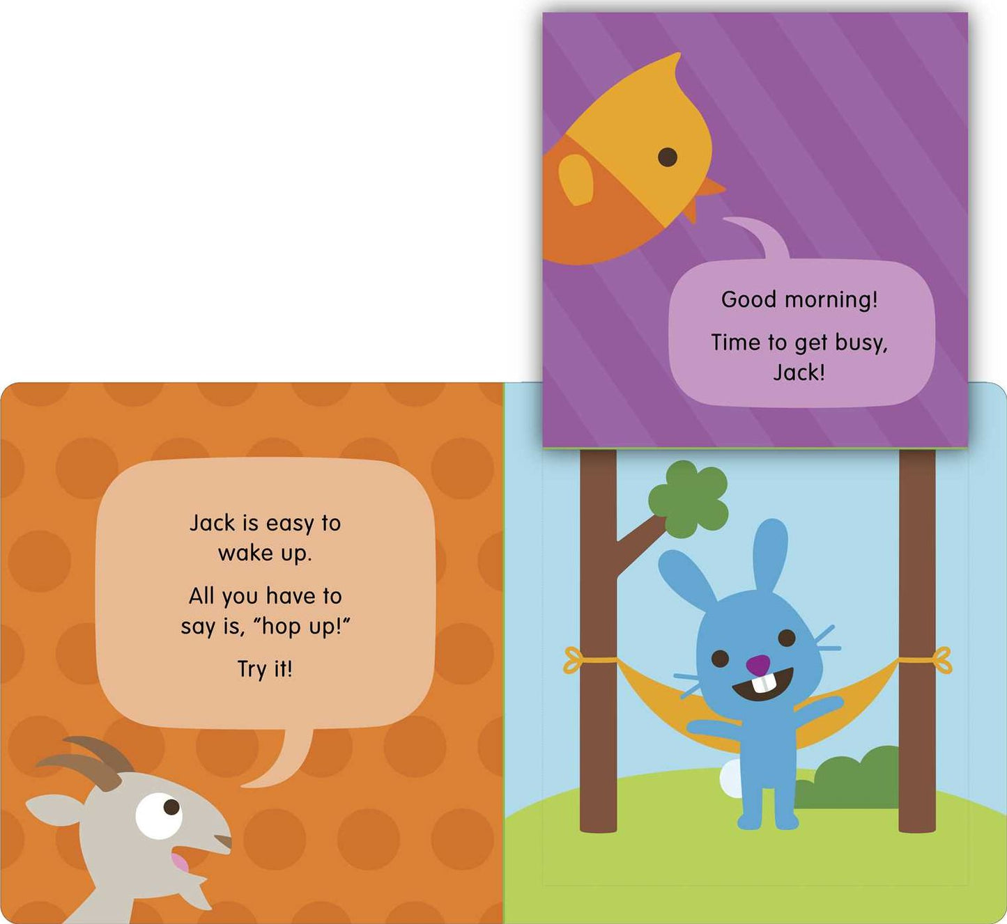 Wake and Sleep: A Lift-the-Flap Book