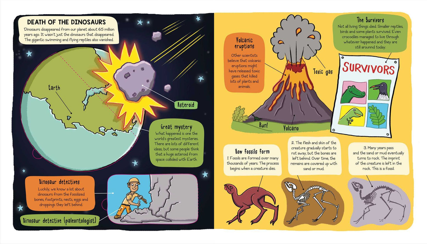 Little Explorers: Dinosaurs