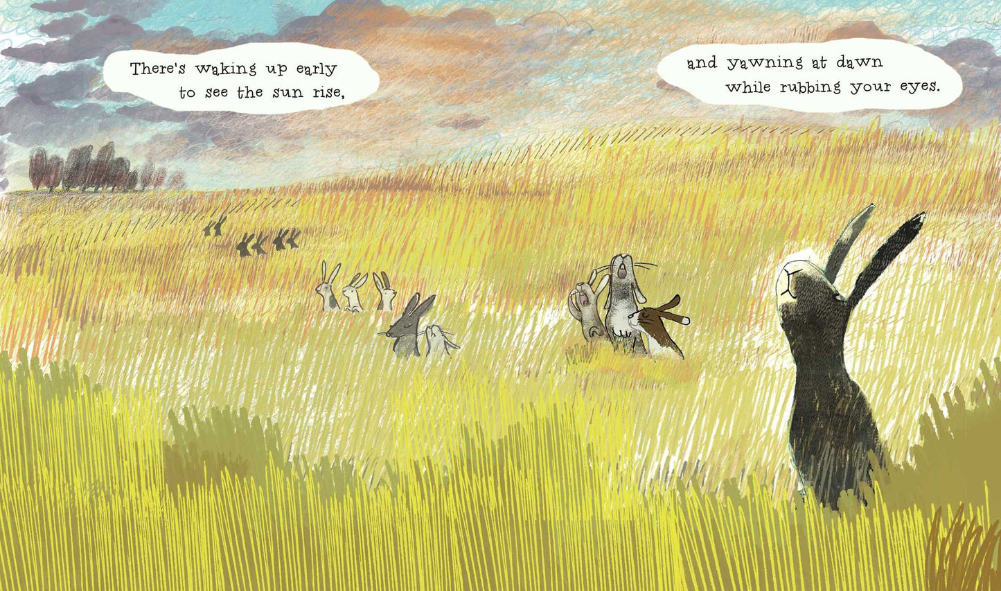 The Wonderful Habits of Rabbits