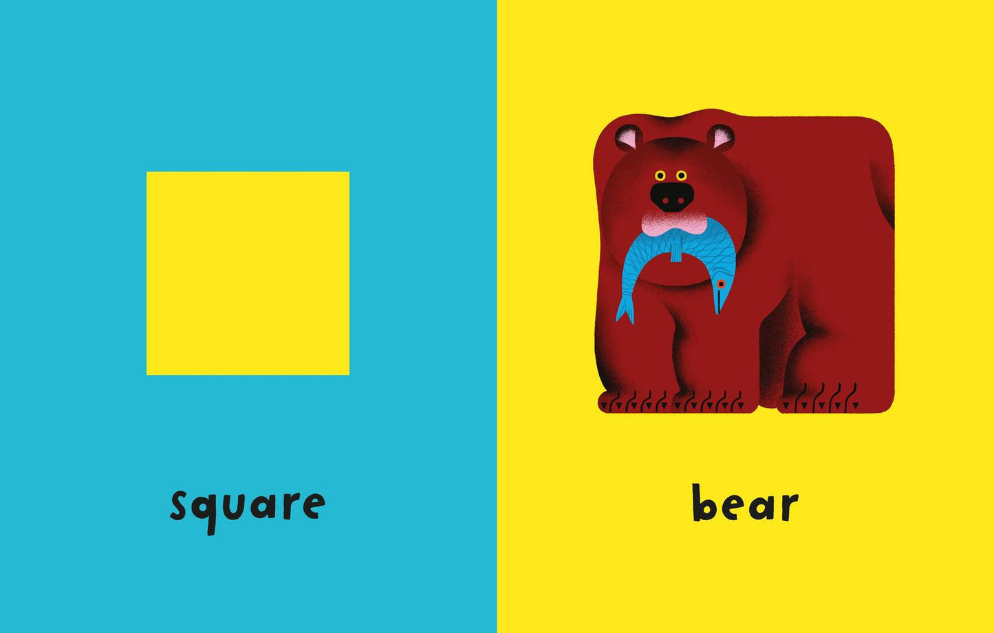 Bear in a Square