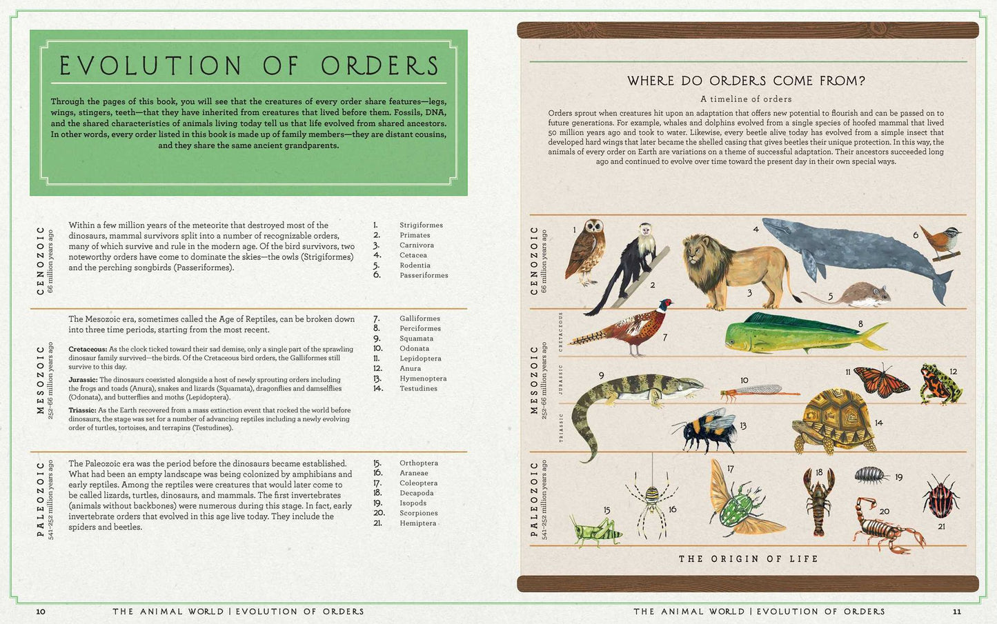 The Animal World: The Amazing Connections and Diversity Found in the Animal Family Tree
