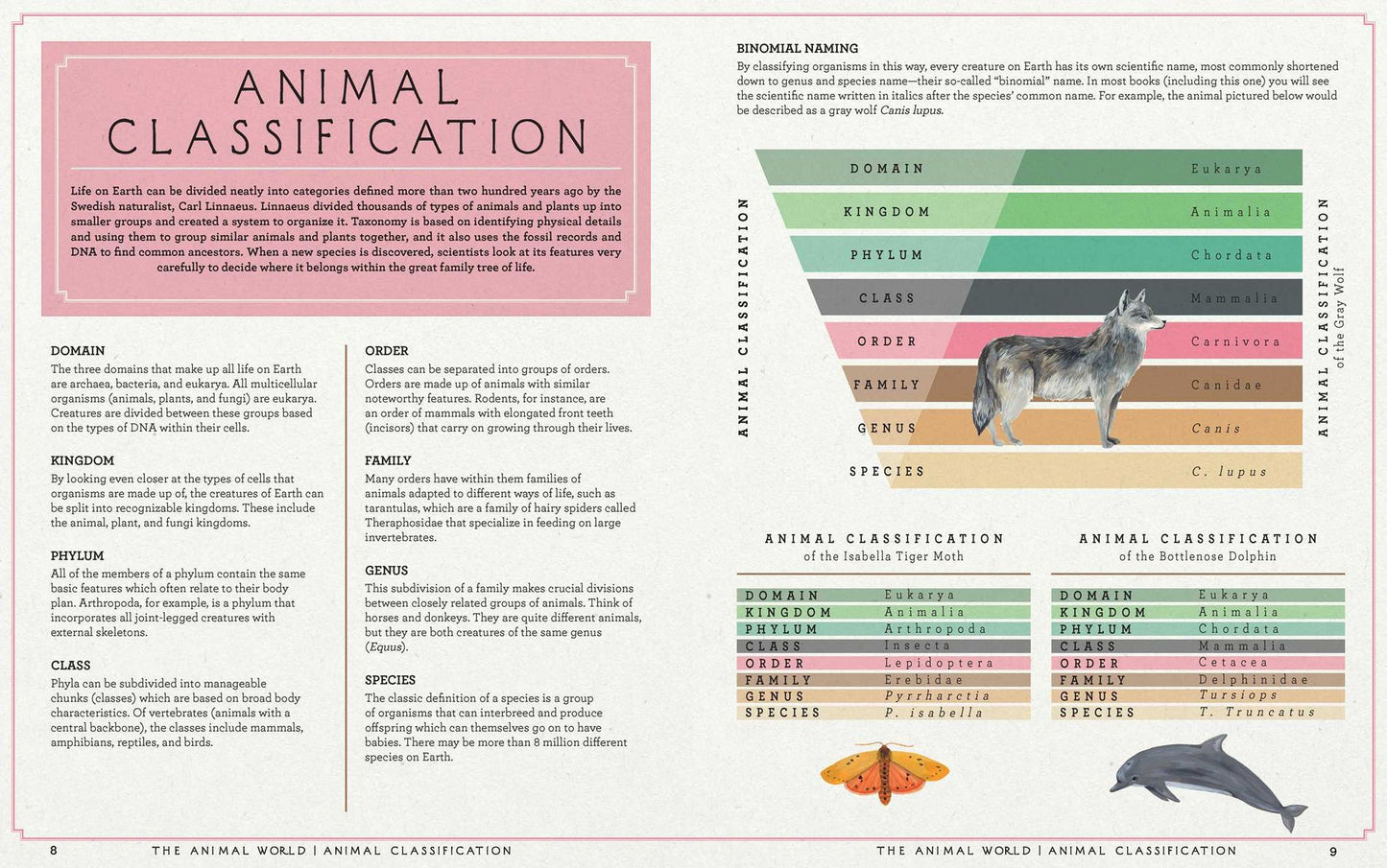 The Animal World: The Amazing Connections and Diversity Found in the Animal Family Tree
