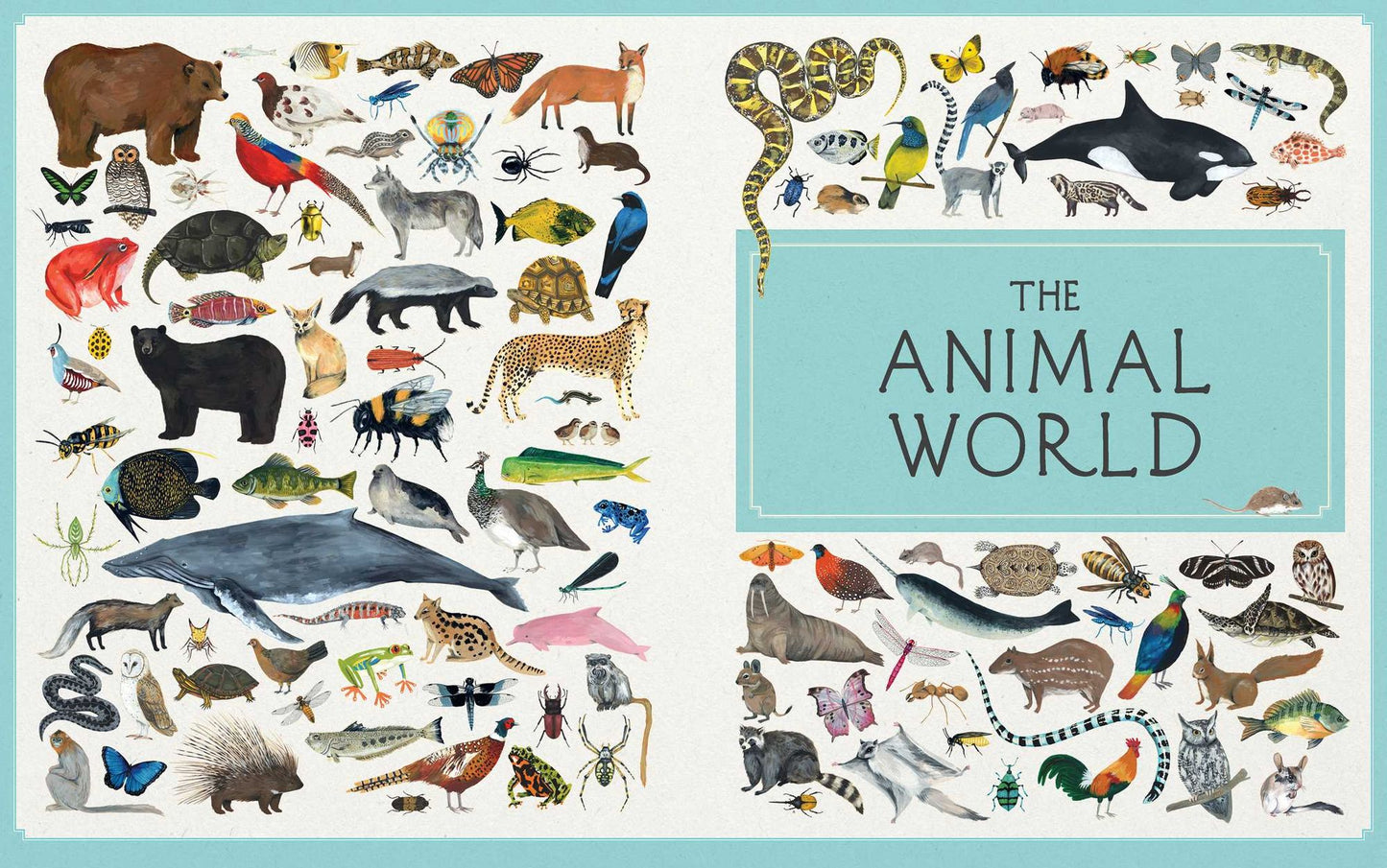 The Animal World: The Amazing Connections and Diversity Found in the Animal Family Tree