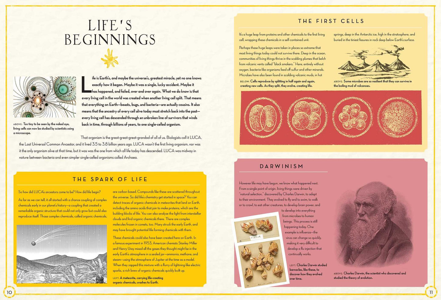 Continental Drift: The Evolution of Our World from the Origins of Life to the Far Future