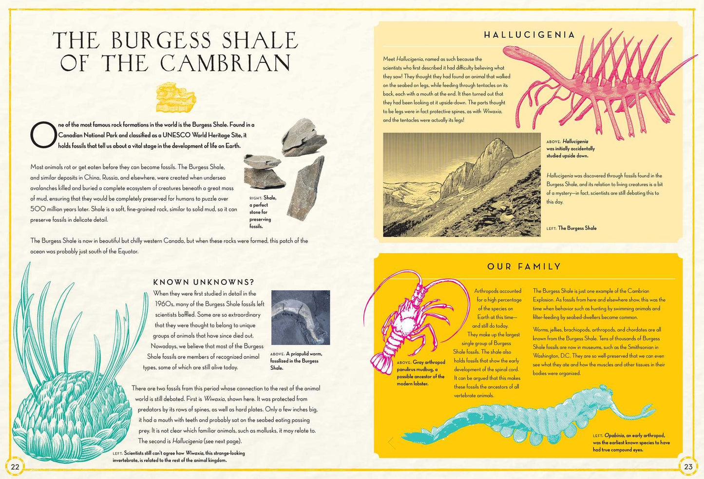 Continental Drift: The Evolution of Our World from the Origins of Life to the Far Future