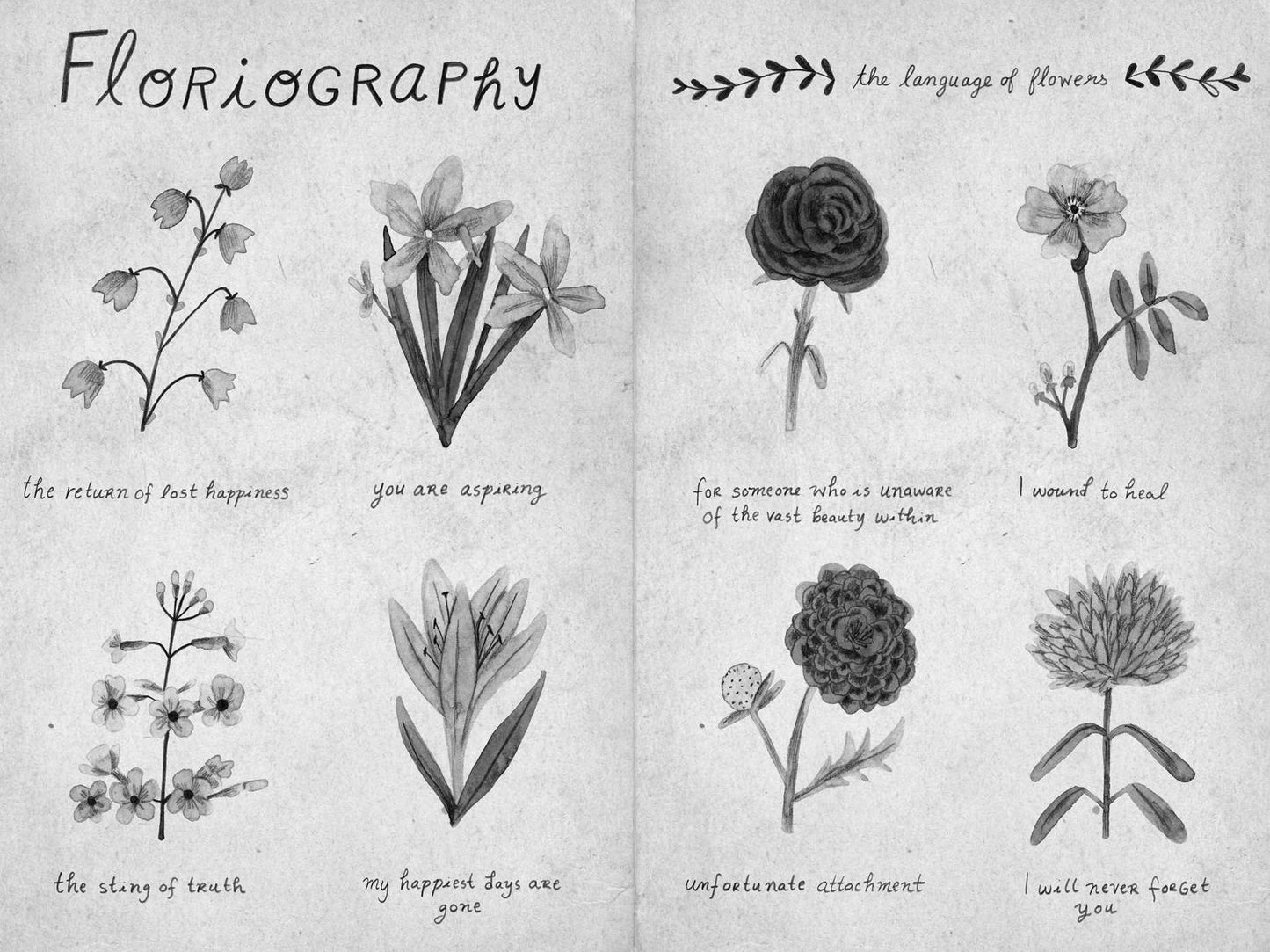 The Flourishing of Floralie Laurel