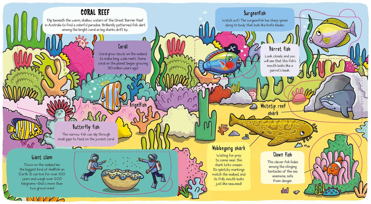 Little Explorers: Under the Sea