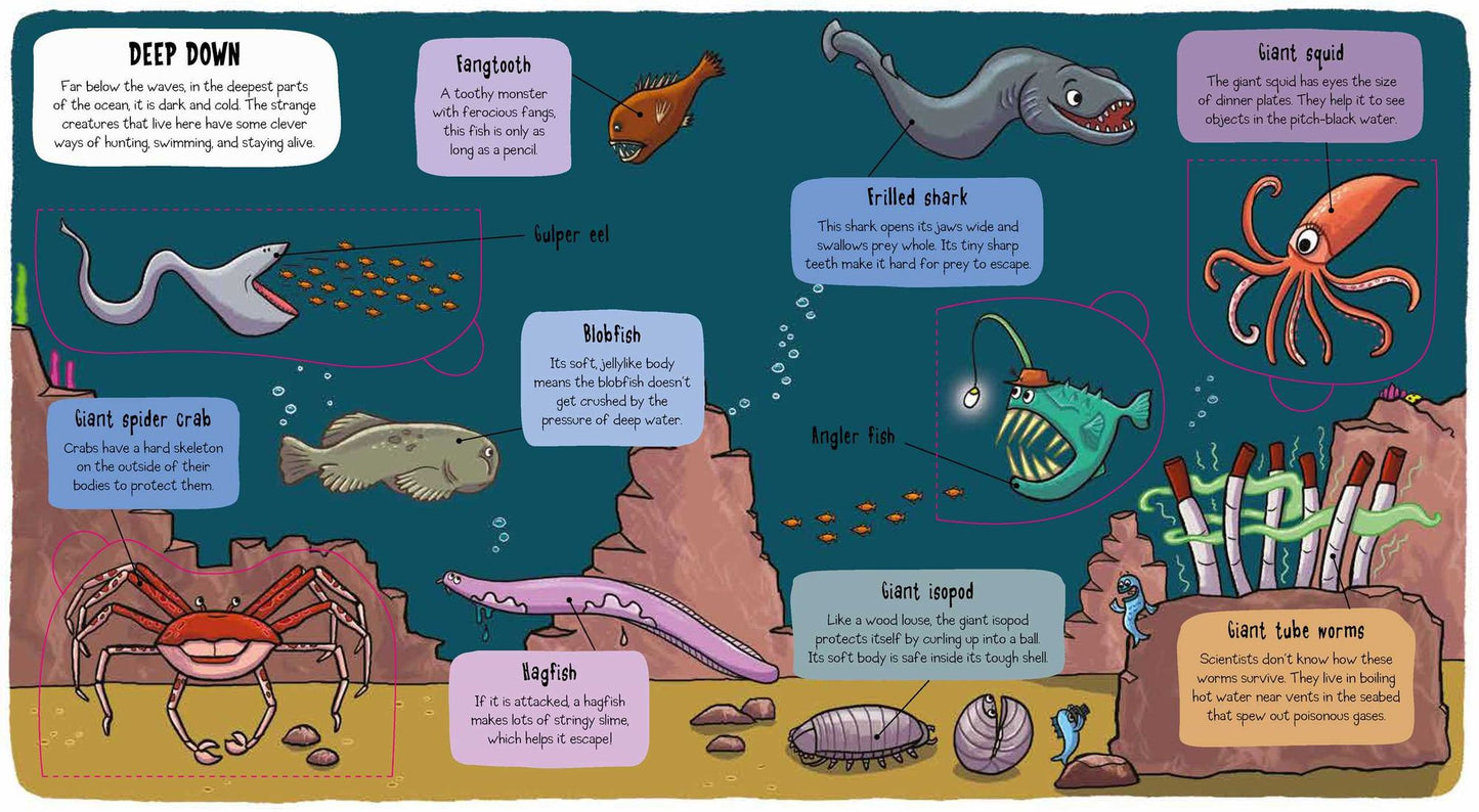Little Explorers: Under the Sea