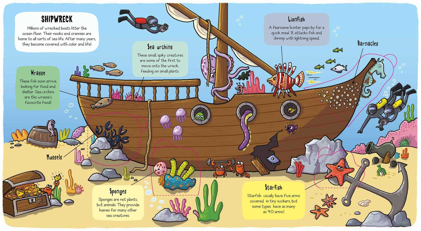 Little Explorers: Under the Sea