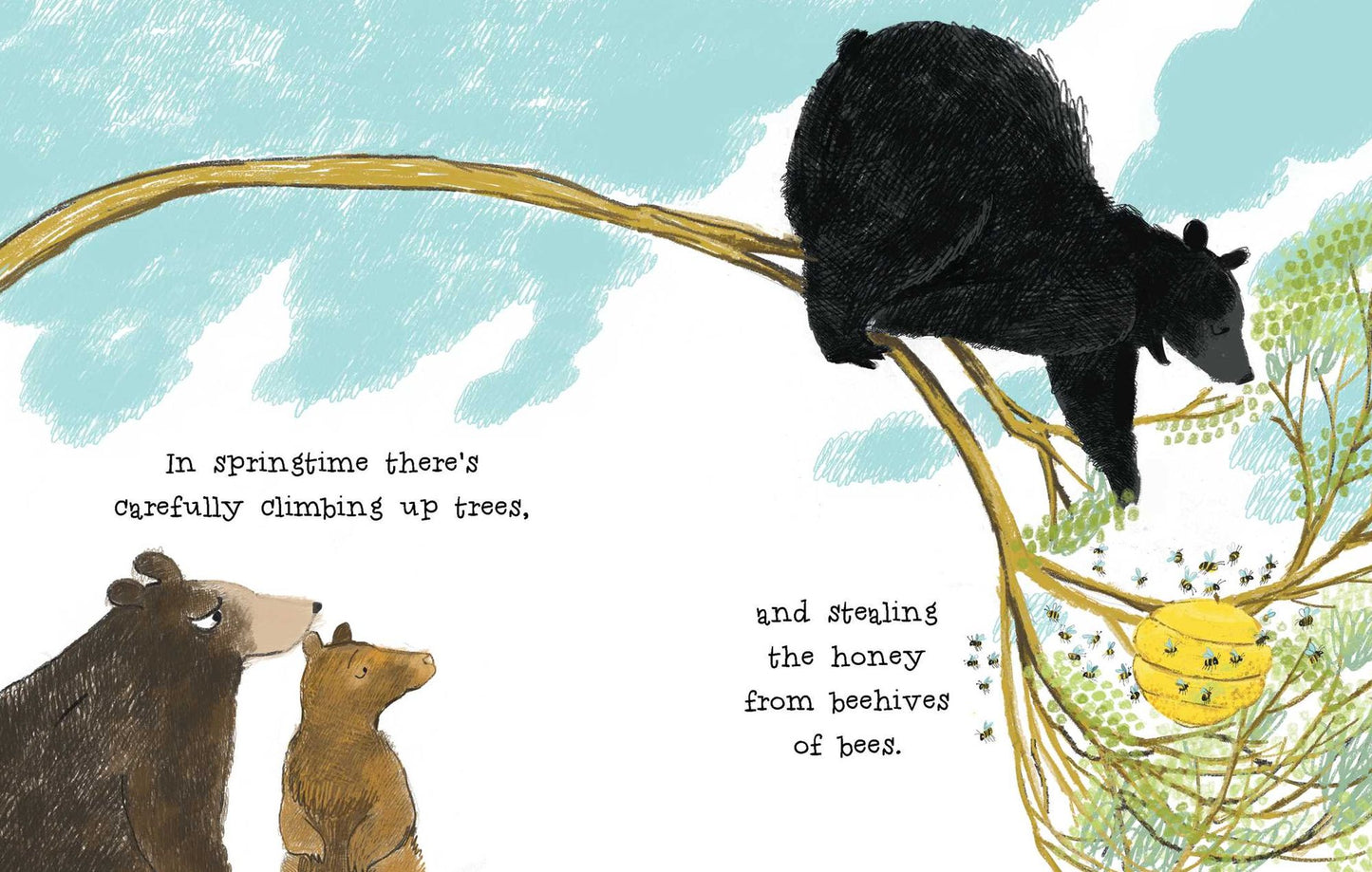 The Curious Cares of Bears