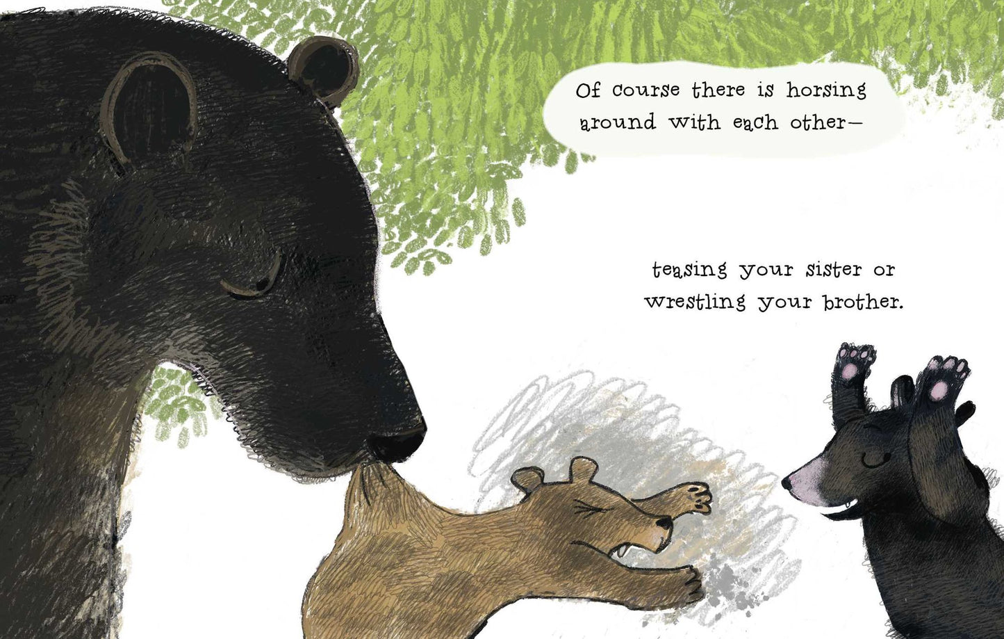 The Curious Cares of Bears