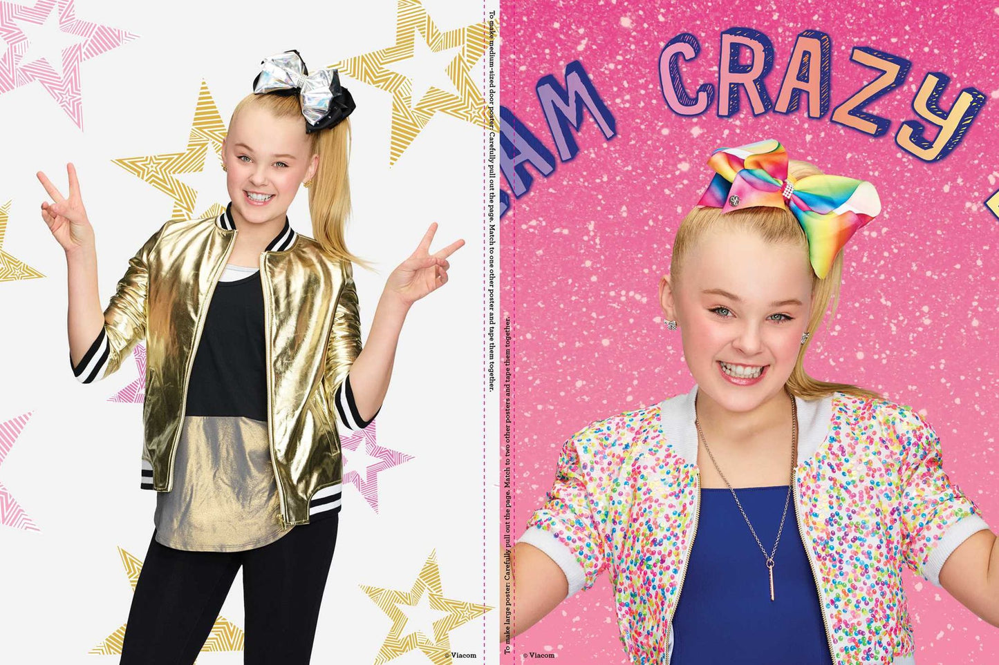 Be Your Own Star Poster Book