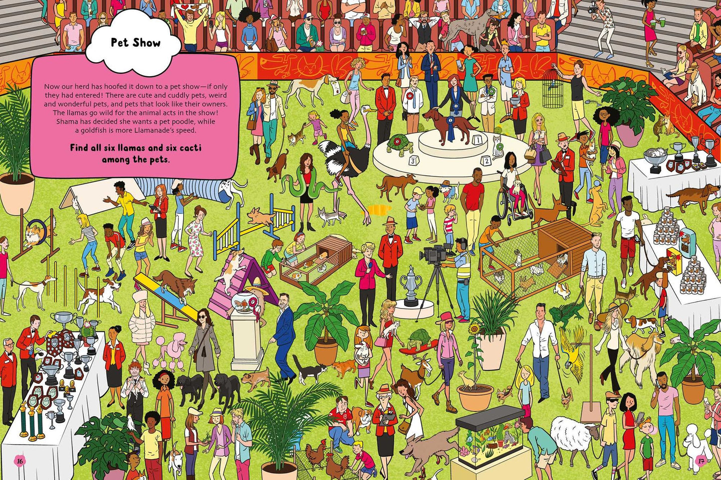 Looking for Llamas: A Seek-and-Find Adventure