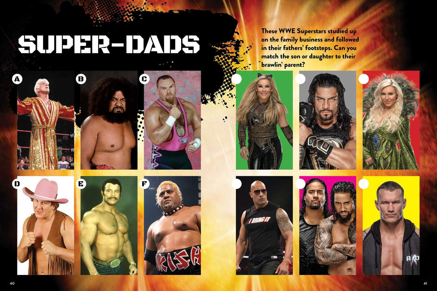 WWE Superstars Ultimate Sticker and Activity Book